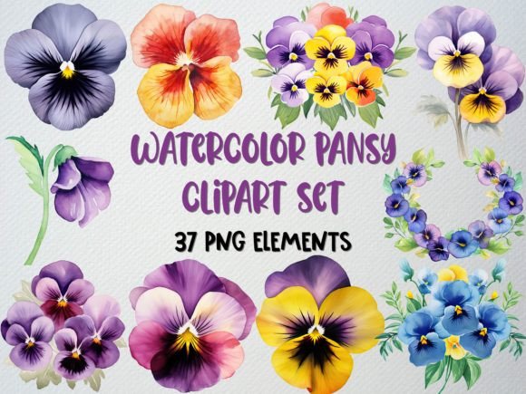 Download Watercolor Pansy Clipart, Flower Png - Pansy Collection
